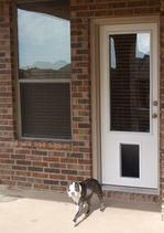 built in doggie door