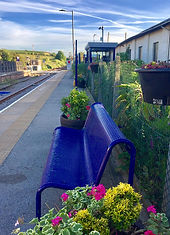 hunmanby_sallyhowley4.jpg