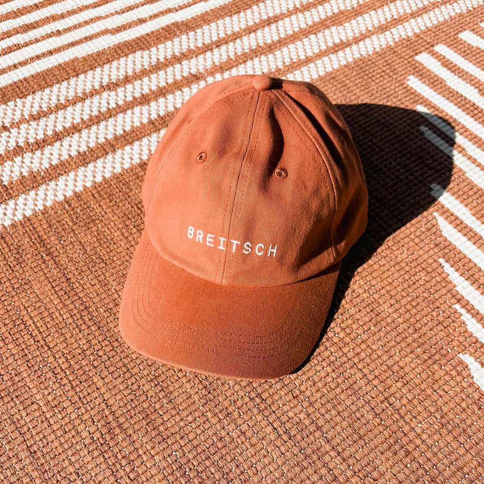 PALMEY Dad Cap Breitsch - Mood