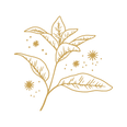 18.png