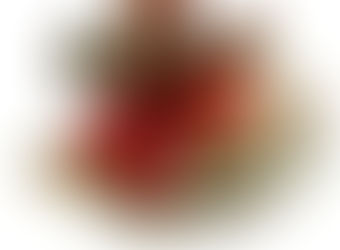 VIR JOU, VIR KERSFEES