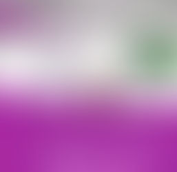 Engleish, our Engleish