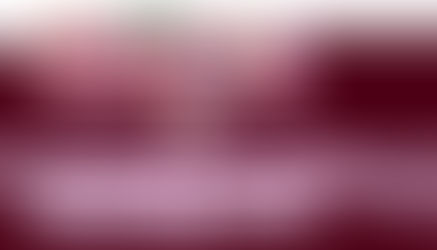 Google doen dit weer vir Eric Carle