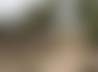 Koekie reis met ryskoekie