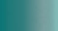 Website Section Background Only2.jpg