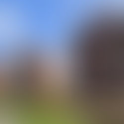 3 appartementencomplexen aan de Eendracht te Delft