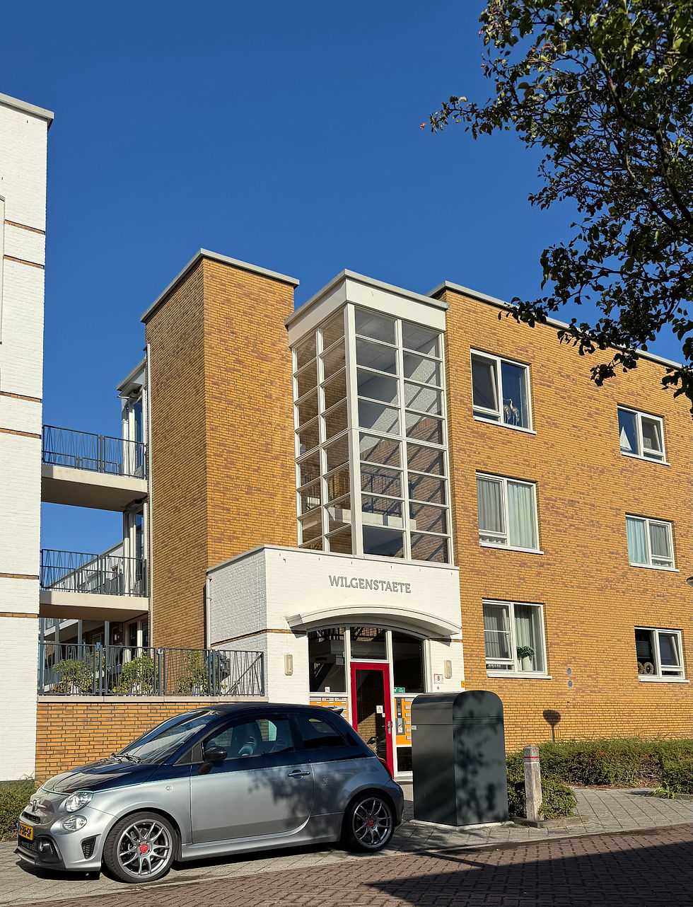 Gestapelde laagbouw rookgasafvoerkanalen keuren en inspecteren