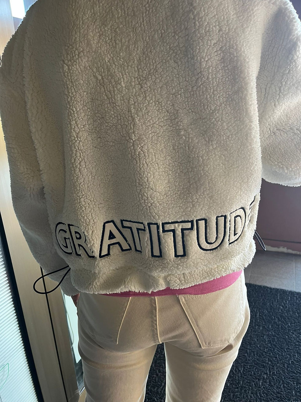 Küçük resim: Gratitude Polar