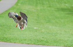 Cusworth Hall Wedding Photography