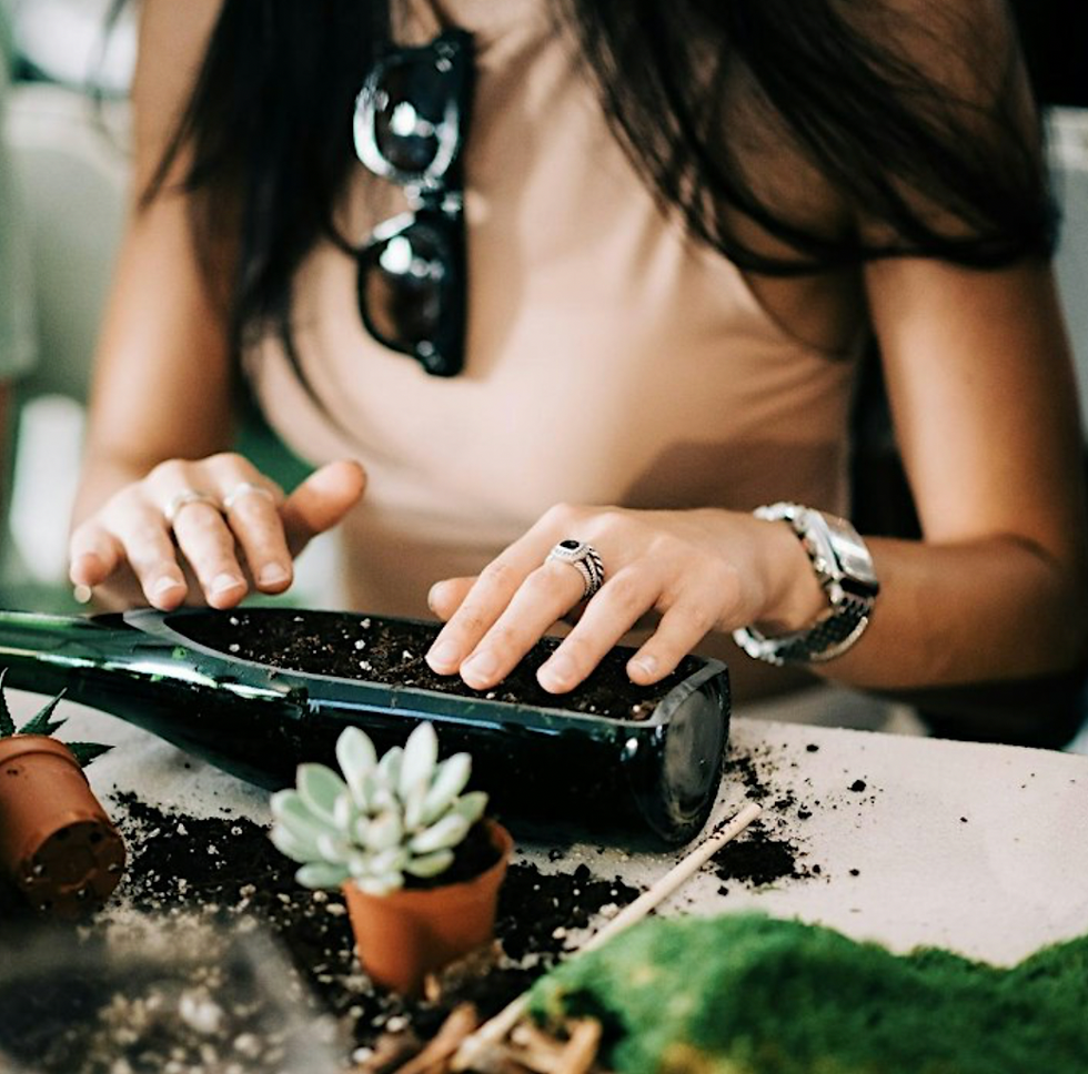 Thumbnail: Wine Bottle Planter Virtual Experience + Free Shipping