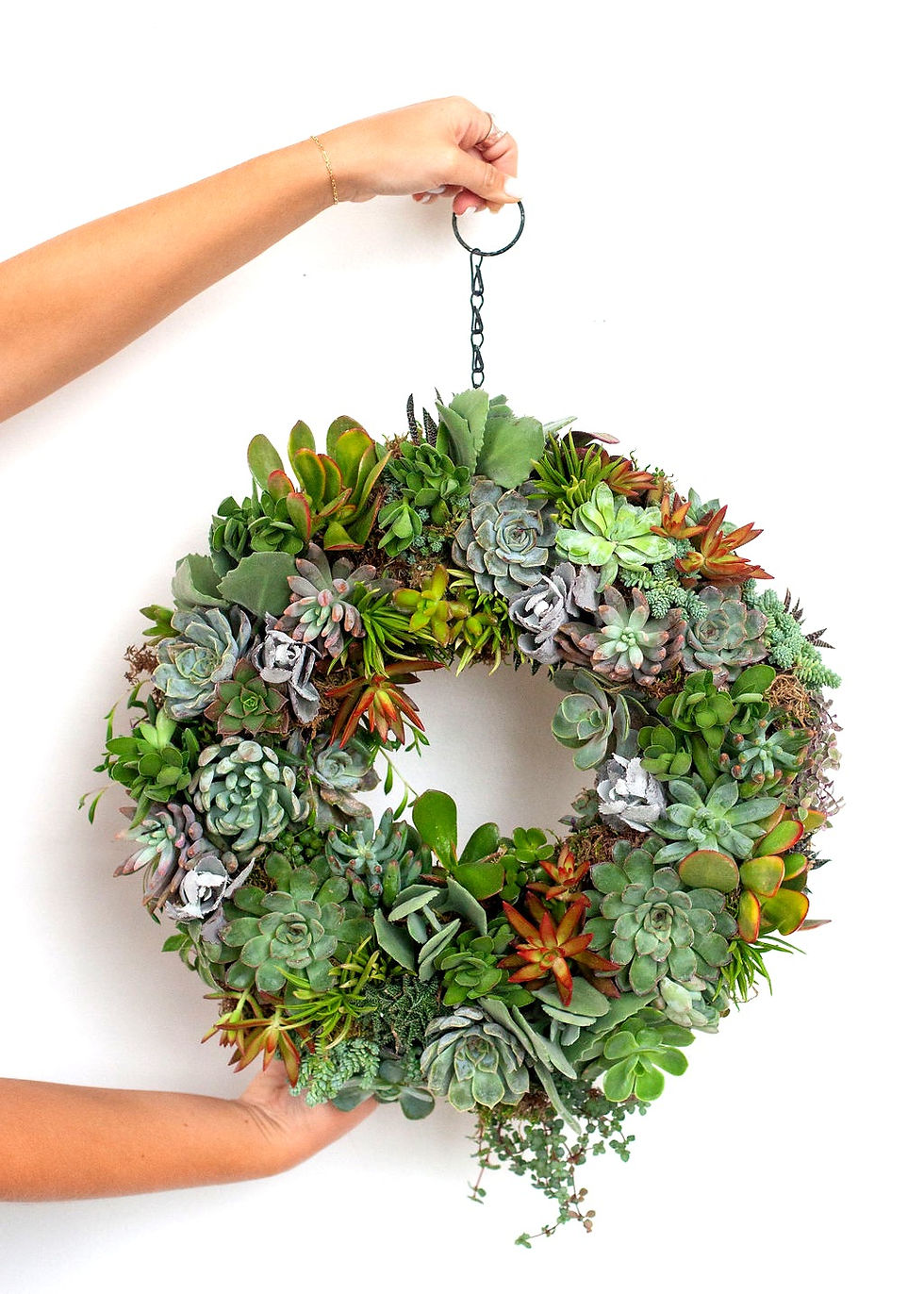 Living Succulent Wreath Workshop at Crooked Hammock Brewery