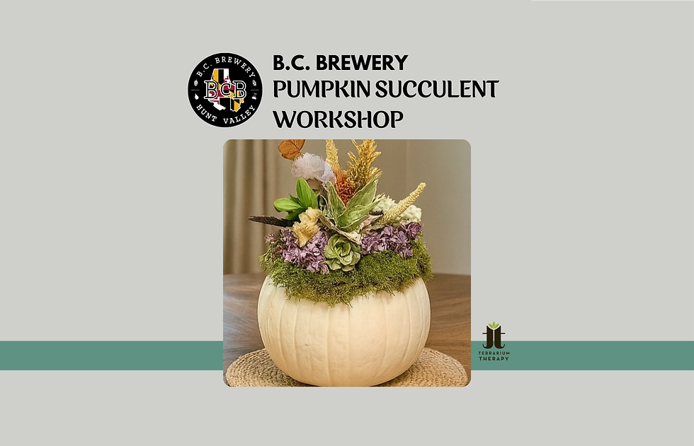 Pumpkin Succulent Planter Workshop at B.C. Brewery 