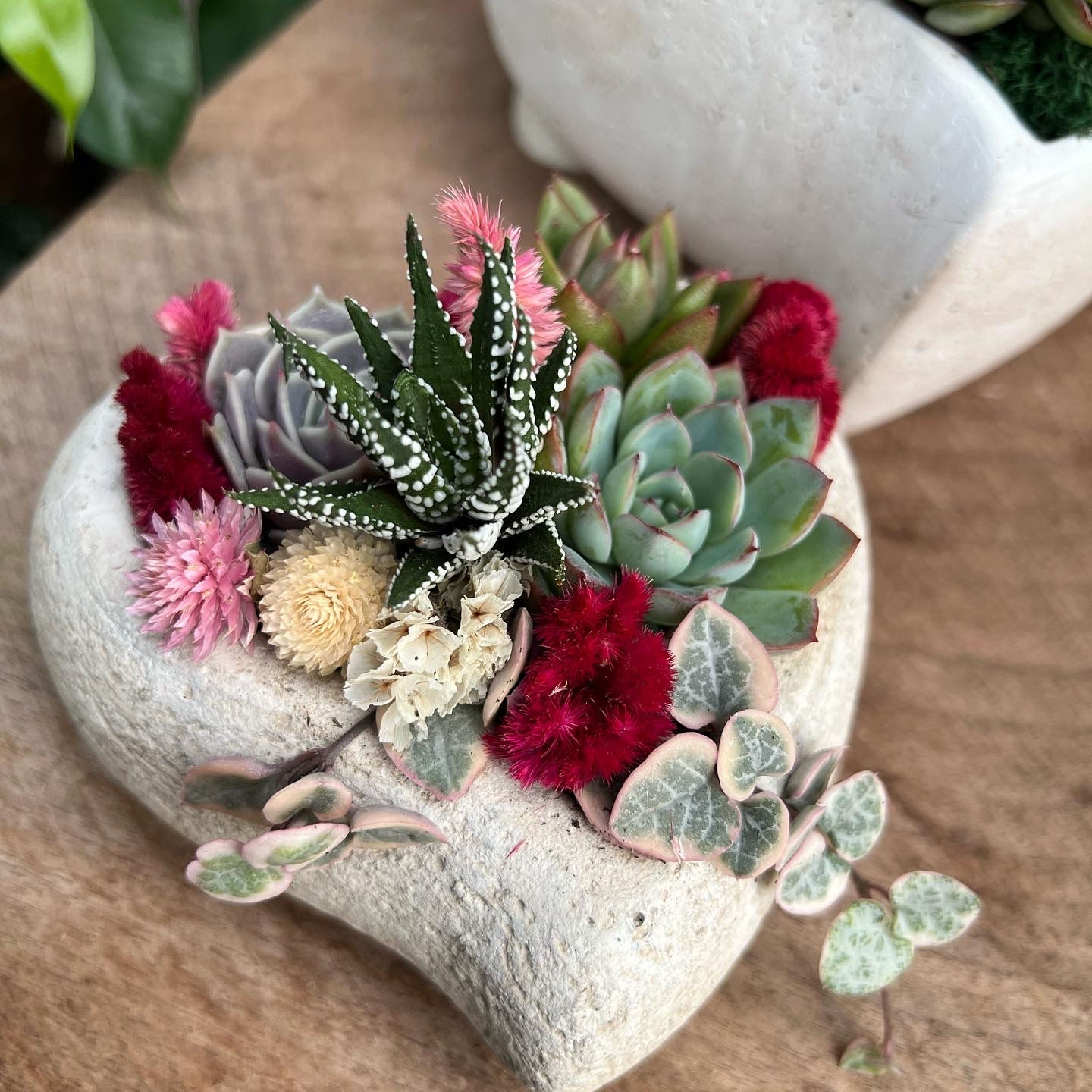 Petite "Plant One On Me" Planter 