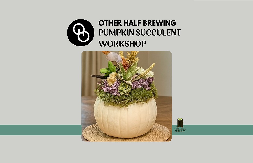 Pumpkin Succulent Workshop at Other Half Brewing