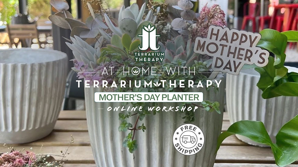 Session 1: Mother's Day Planter- At Home with Terrarium Therapy 
