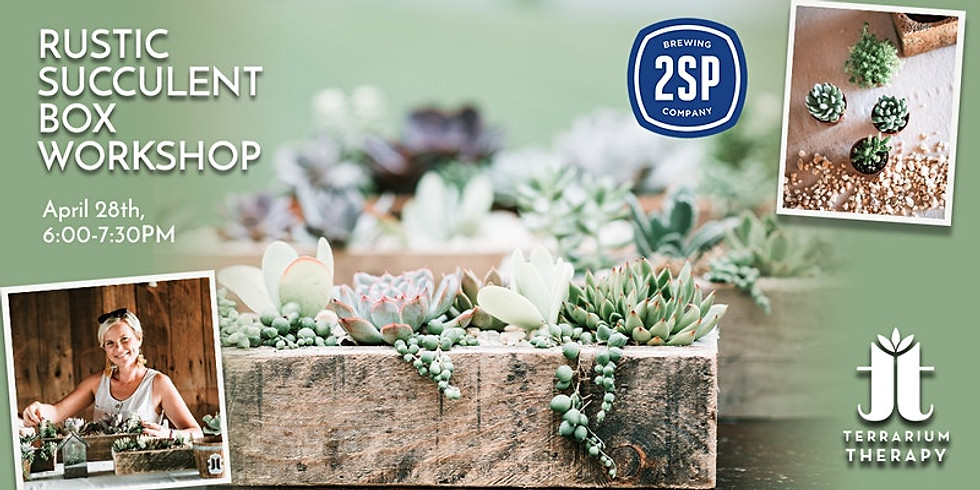In-Person Rustic Succulent Box Workshop at 2SP Brewing Company