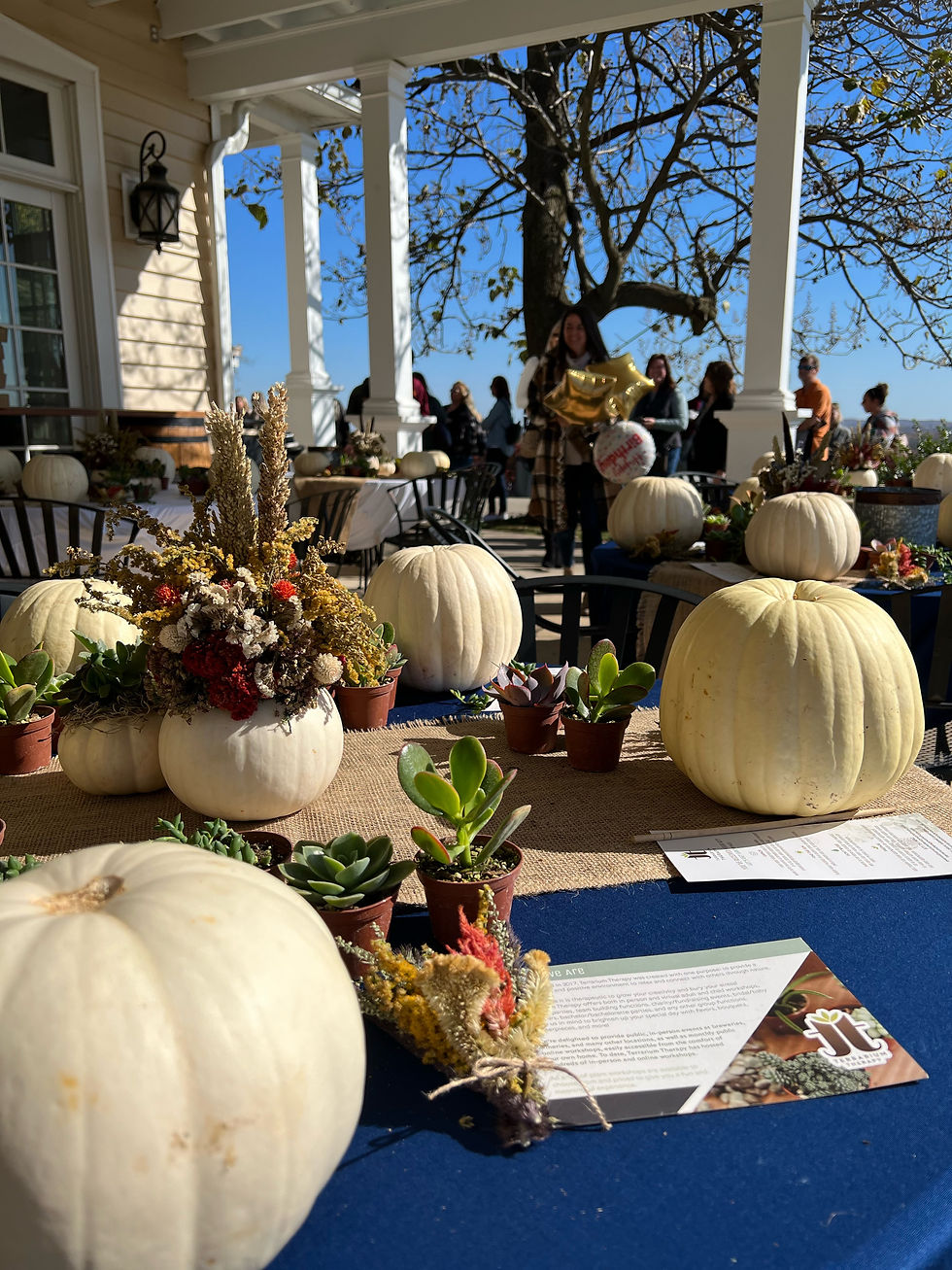 Pumpkin Succulent Workshop at Acri Meadow Park