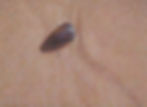 Earth & Stone II.jpg