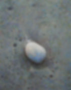 Earth & Stone III.jpg