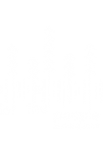 For the People Season 1 (1).png