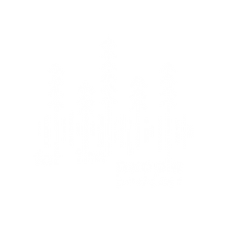 For the People Season 1 (1).png