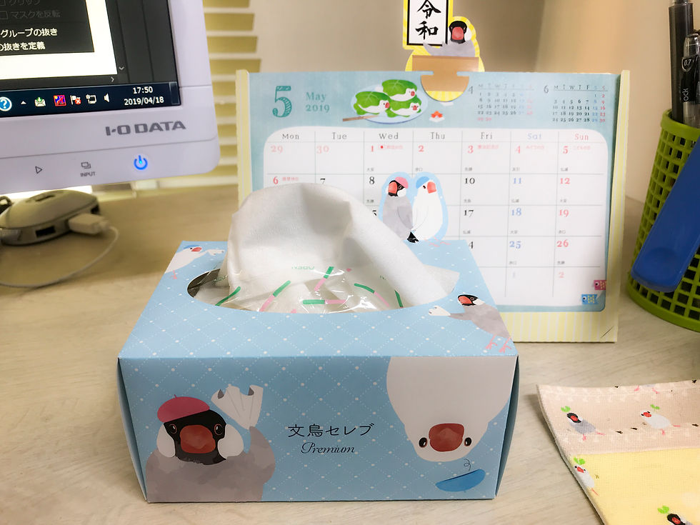 文鳥セレブ
