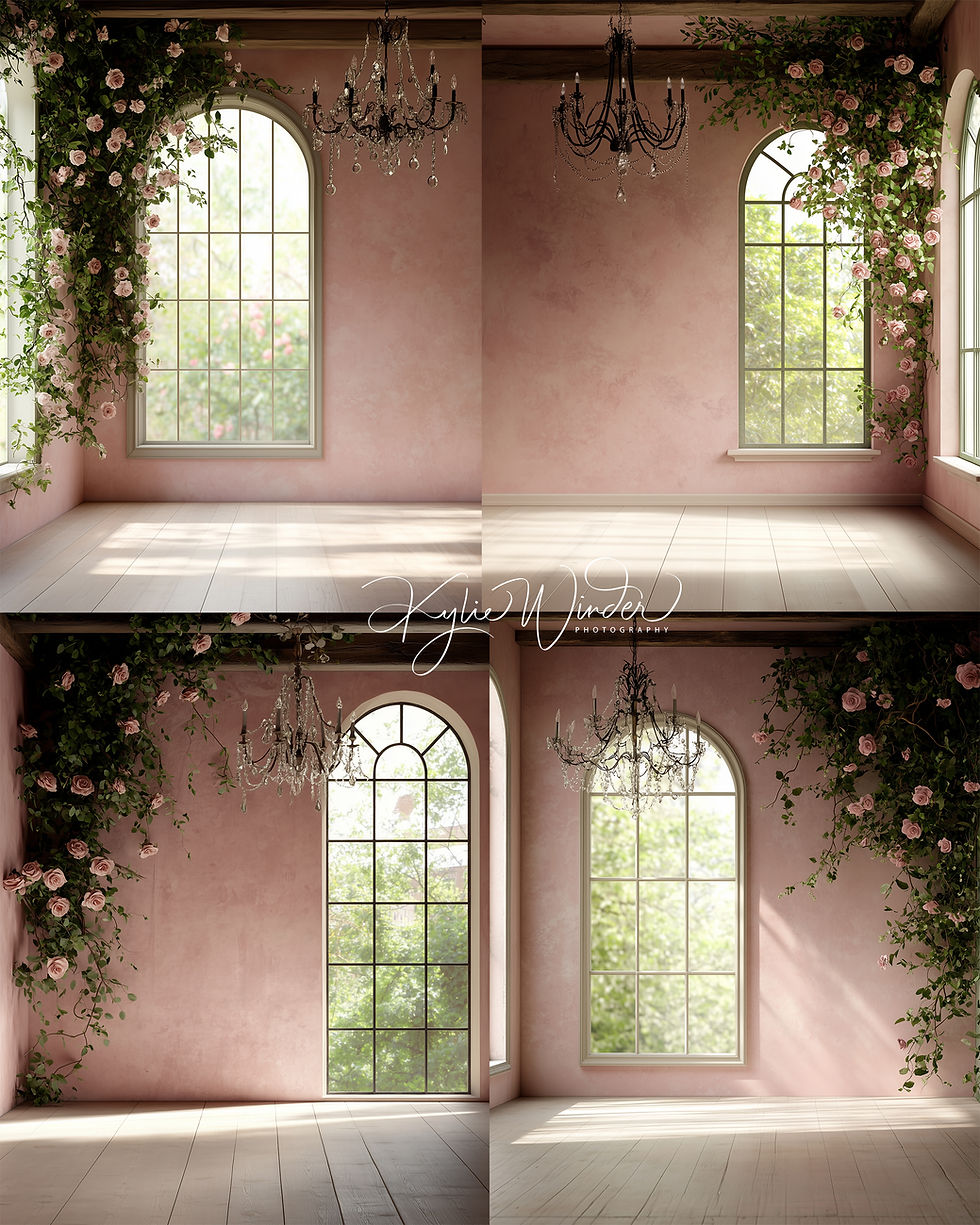 Thumbnail: digital backdrop, digital overlay, maternity backdrop, portrait backdrop, pink backdrop, pink digital backdrop, overlay