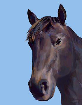 mojo11x14.jpeg