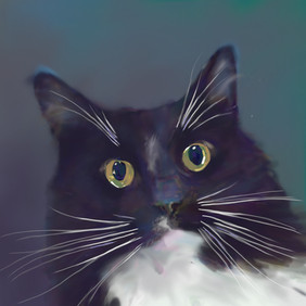 murphy.jpeg