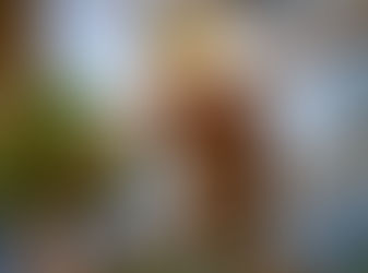 החלום הקנדי | פרק שני