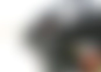 טייס הקרב (מיל) גיא בן צבי על המבצע, הפוליטיקה, התקשורת והדמוגרפיה