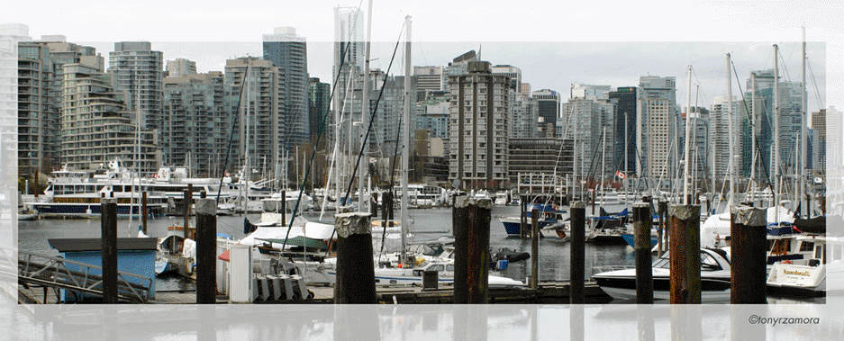 pierB.gif