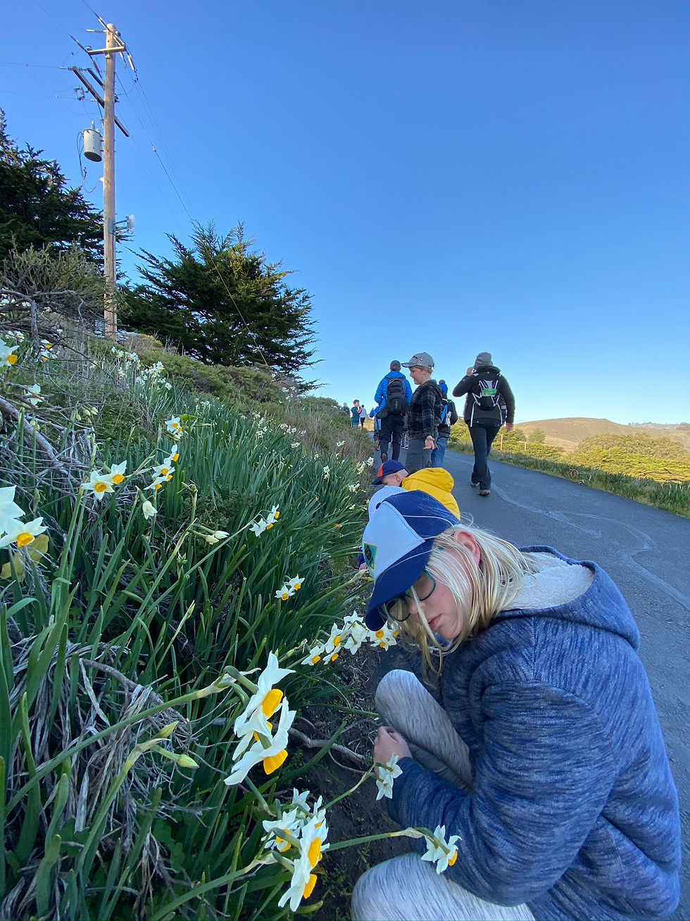 Point Bonita Overnight