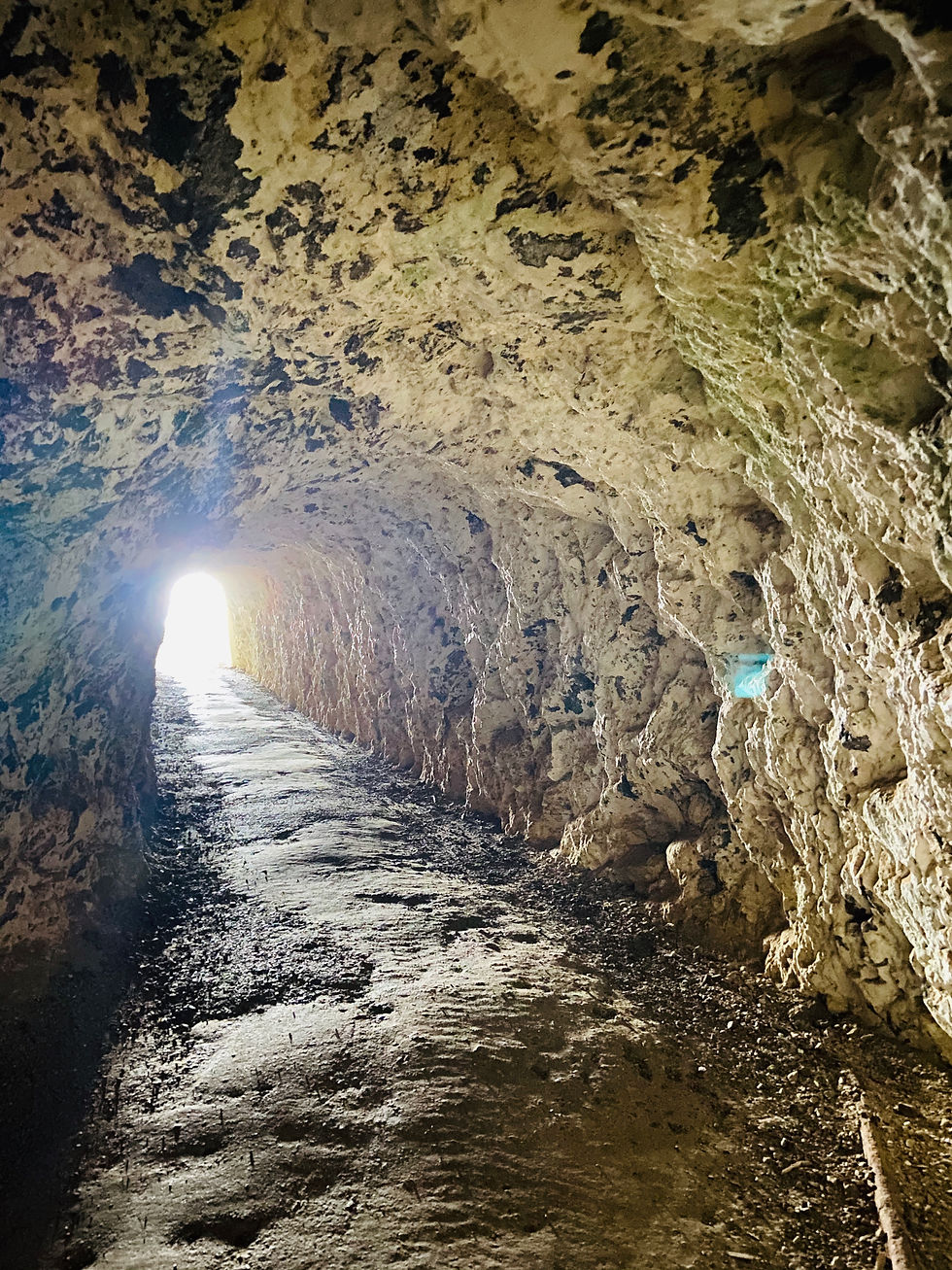 Point Bonita Overnight