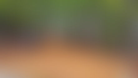 Airmail arrow path update.