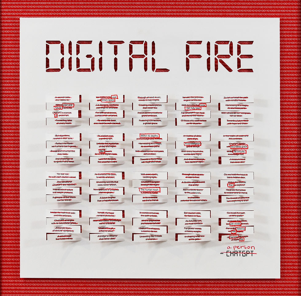 Digital Fire_DSC_0254_cropped.jpg