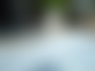 Key Insights into Franchise File Essentials