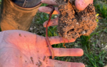 Context of land, bed rock, soil type, topography, climate, capability