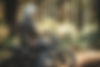 ageofglory-forest2023-7.jpg