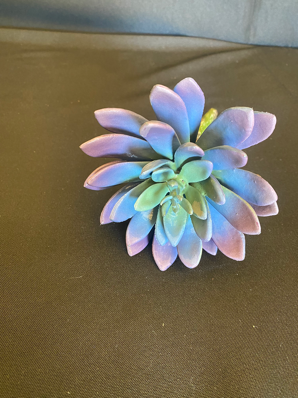 Thumbnail: Floral Cactus Stem