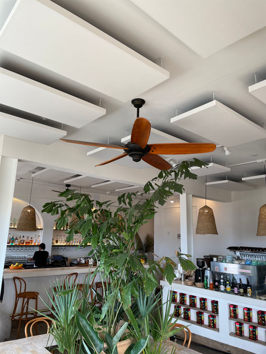 pub with acoustic ceiling panels or baffles