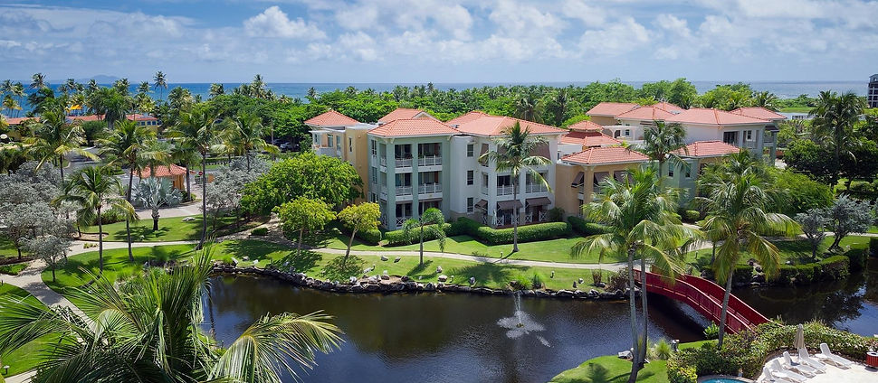 Camino de piedra de la piscina