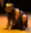 4. Color. Waleket the spider .JPG