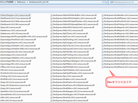 Devexpress111