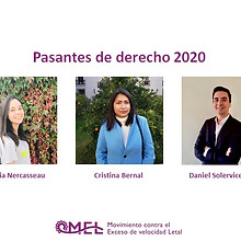 Pasantes de derecho MEL 2020.jpg