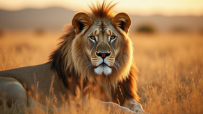 Dive into Captivating Safari Adventure Tales