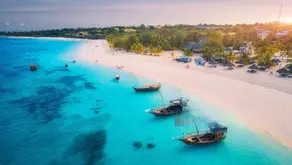 Essential Zanzibar Safari Tips for a Memorable Adventure