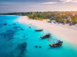 Essential Zanzibar Safari Tips for a Memorable Adventure