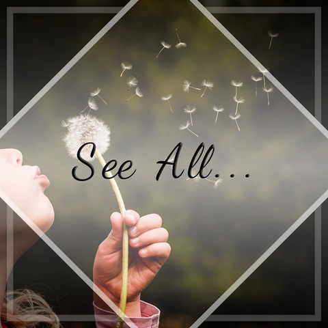 Travel Blog Posts By Destination By In The Great Wide Travel Blog