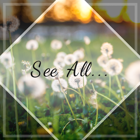 In The Great Wide Los Angeles Travel Blog All Destinations